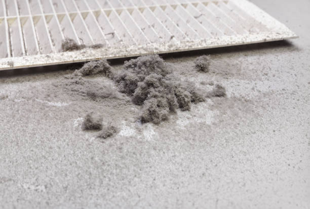 Best Best Air Duct Cleaning Company  in Moapa Valley, NV