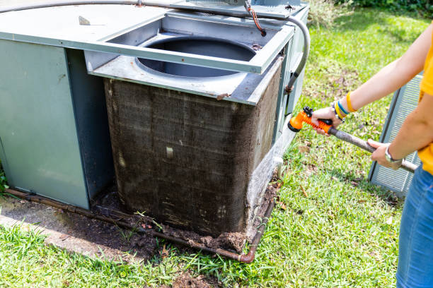 Air Duct Mold Removal in NV