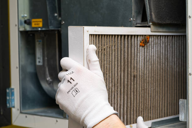 Best Affordable Air Duct Cleaning  in Moapa Valley, NV