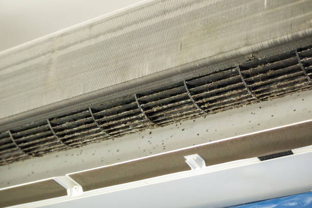 Best Affordable Duct Cleaning Services  in Moapa Valley, NV